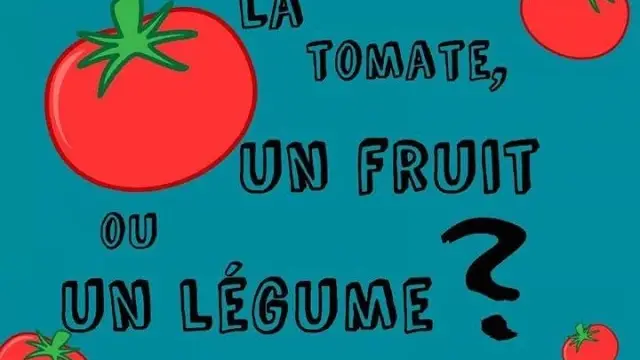 La Tomate Est Un Fruit Ou Un Legume