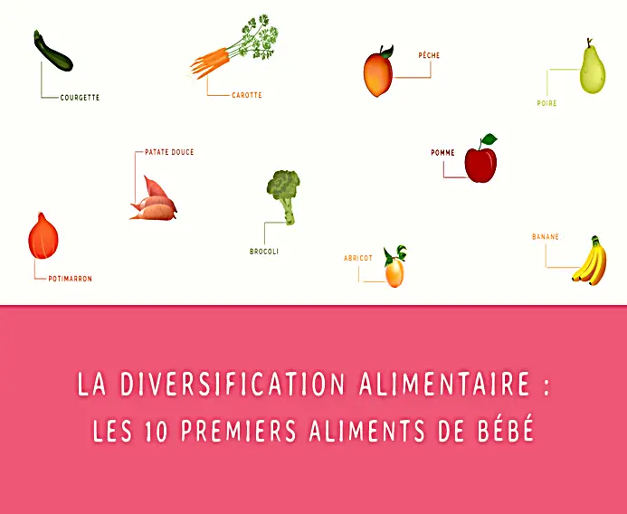 Diversification Bébé Fruits Ou Légumes