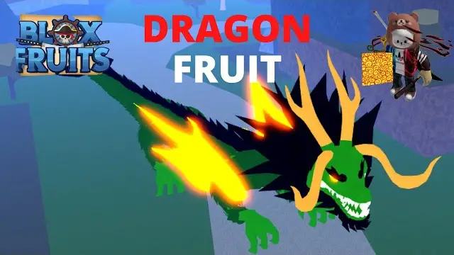 Fruit Du Dragon Où En Trouver