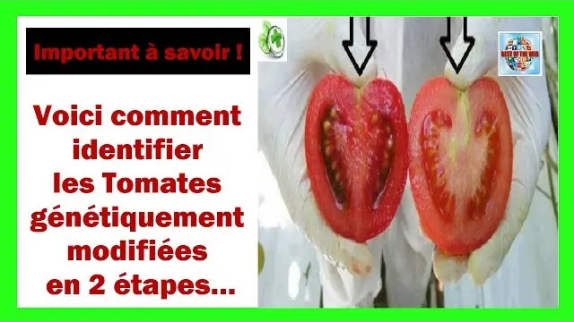Tomate Fruit Ou Légumes