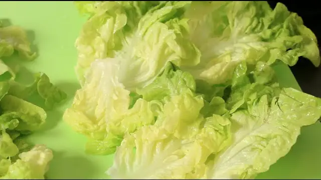 Salade Verte Fruit Ou Legume