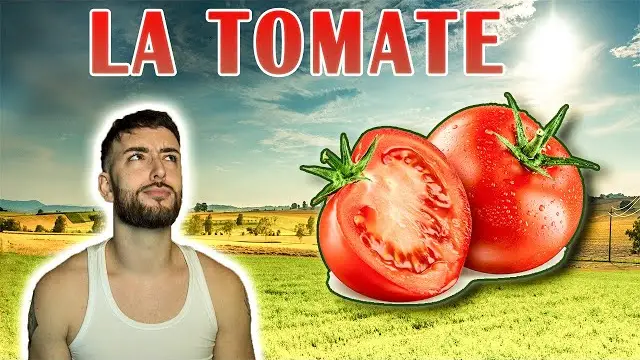 La Tomate Est Un Fruit Ou Un Légume Wikipédia