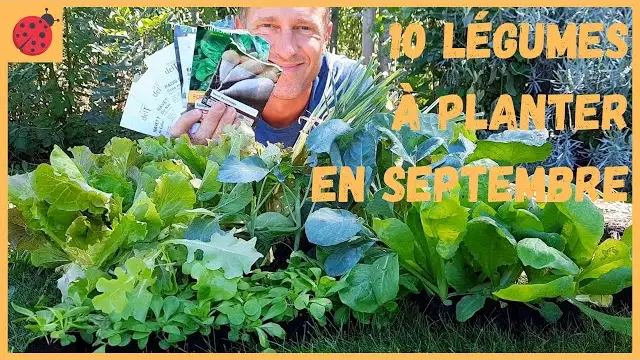 Quand Planter Les Légumes Dans Le Jardin