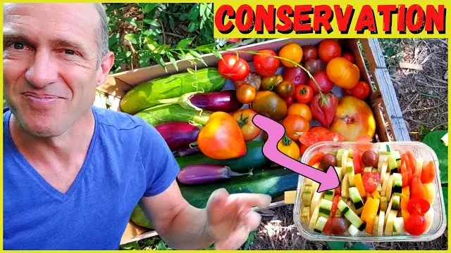 Comment Conserver Ses Légumes