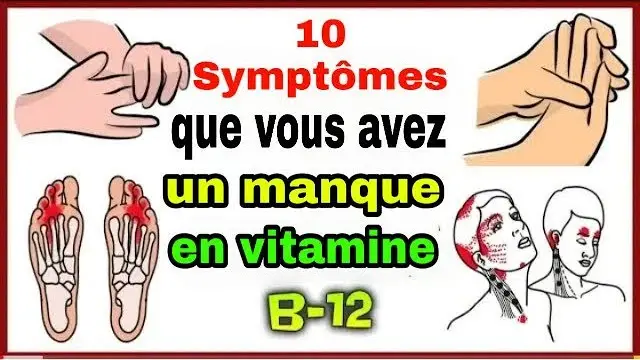 Où Trouver La Vitamine B12 Dans Les Légumes